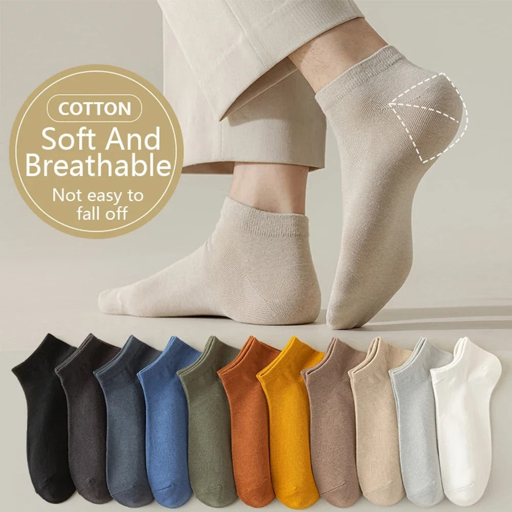 Cady Edition 2.0 Soft Breathable All Seasons Socks( 10 Pairs)